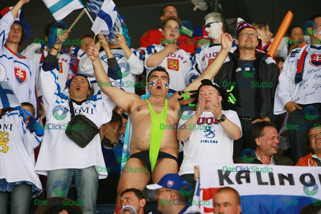 fanusikovia finska