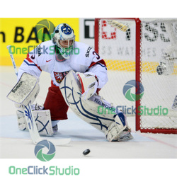 stepanek