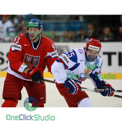 voracek zaripov