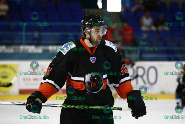 novotny