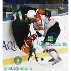 netik fisenko