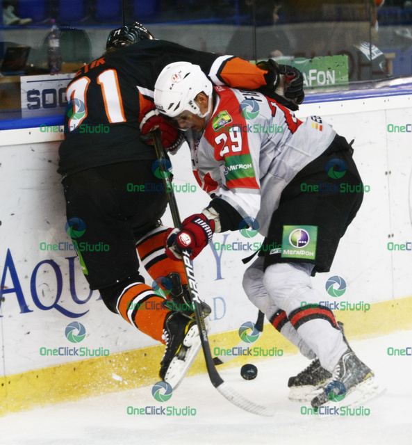 netik fisenko