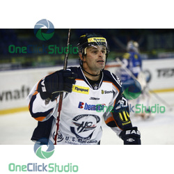 vorel