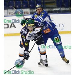 hascak svitana
