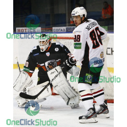 nesterov duba