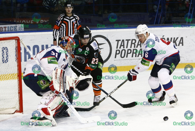 stepanek bartecko denisov