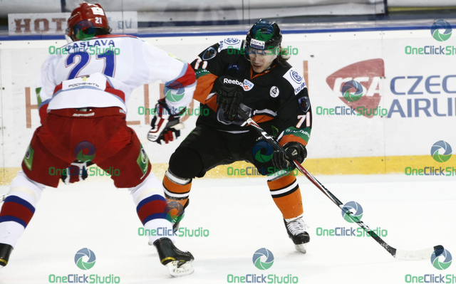 netik caslava