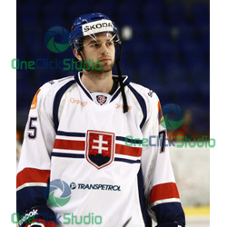 stehlik