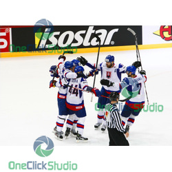 radivojevic sekera handzus baranka
