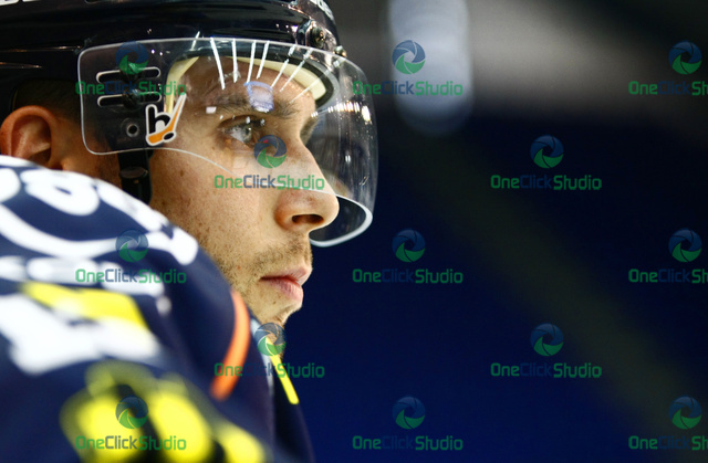 gajdos