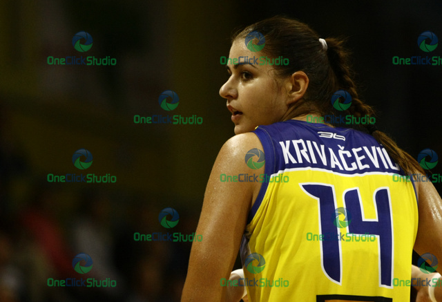 krivacevic