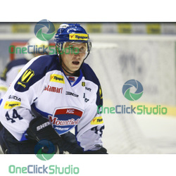 novotny