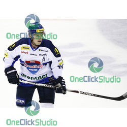 novotny