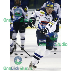 novotny