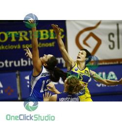 palusna bojovic hruscakova