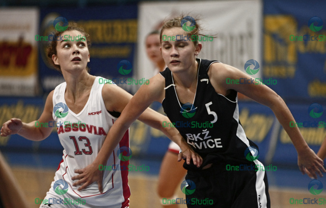 mihalikova stefanakova