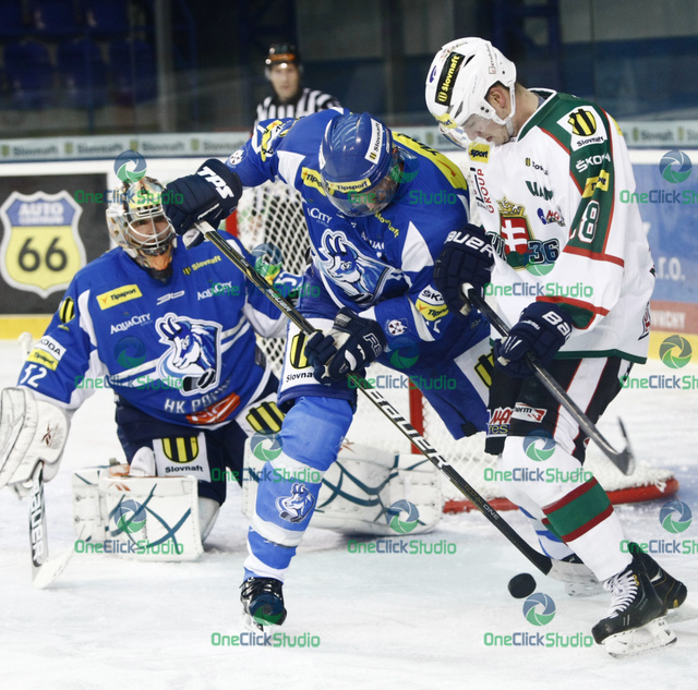 nikkila suchy preisinger