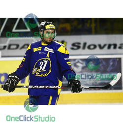 vladimir nemec