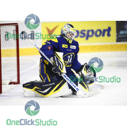 tomek