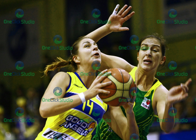 krivacevic