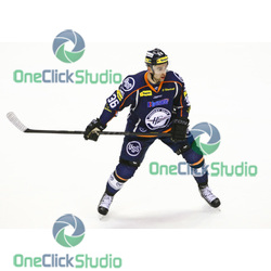 novotny