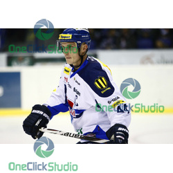 novotny