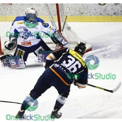 westlund novotny