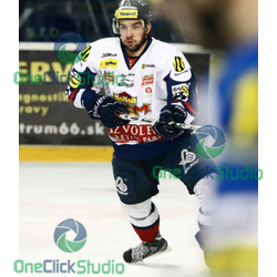 pichnarcik