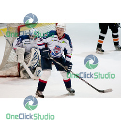 novotny