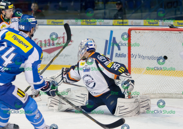 kovacevic hylak