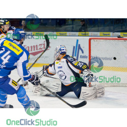 kovacevic hylak