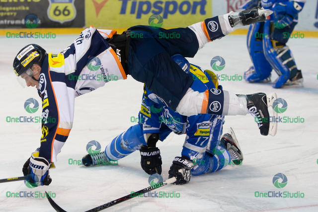 hascak devecka