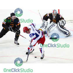 rankel anisimov endras