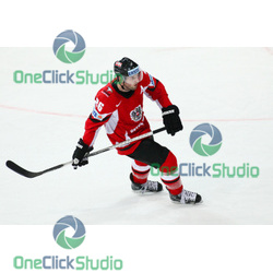 vanek