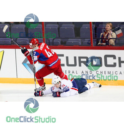anisimov besch