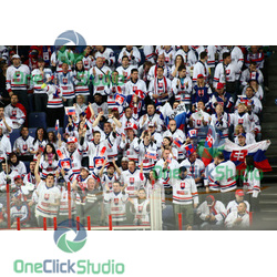 fans slovensko