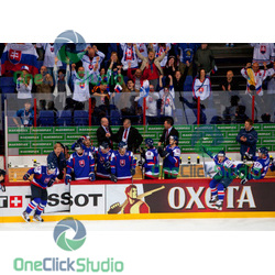 slovensko radost