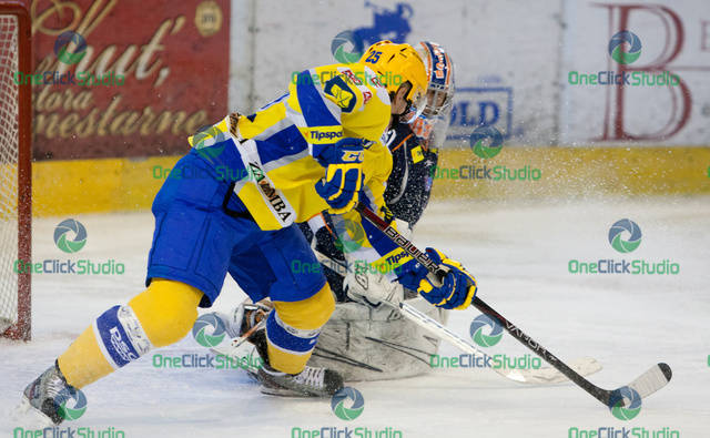 kubis hylak