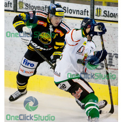 travnicek kozak