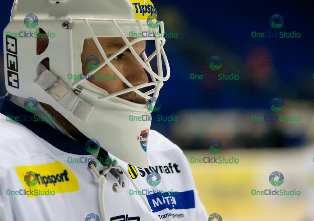 martin surek
