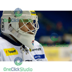 martin surek