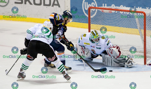 sojcik lipovsky