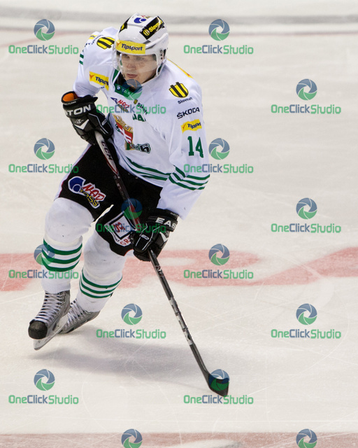 stieler
