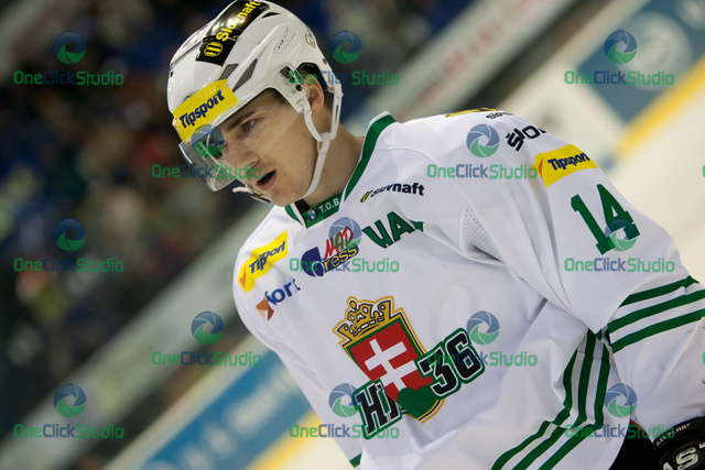 stieler 2