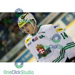 stieler 2