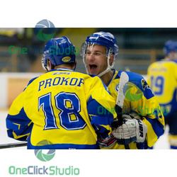 prokop podsedly