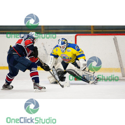scurko kmet