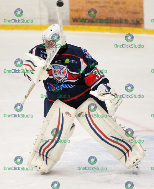 blazicek r