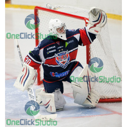 robin blazicek