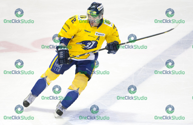 nemec
